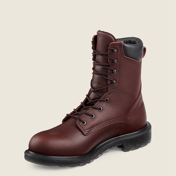 Botas de Trabajo Red Wing Hombre Marrom Oscuro - Supersole® 2.0 - 8-Inch Soft Toe - 402-DZIWKB